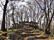 53 Sentiero adornato da carpini neri ben cresciuti in cresta di vetta del Monte Ubione
